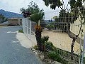 Schöne Villa in Ricabacica, Abanilla + Olivenhain in Partidor in  Dream Villas Alicante
