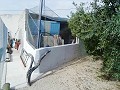 Schöne Villa in Ricabacica, Abanilla + Olivenhain in Partidor in  Dream Villas Alicante