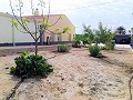 Schöne Villa in Ricabacica, Abanilla + Olivenhain in Partidor in  Dream Villas Alicante