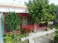 Schöne Villa in Ricabacica, Abanilla + Olivenhain in Partidor in  Dream Villas Alicante