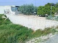 Schöne Villa in Ricabacica, Abanilla + Olivenhain in Partidor in  Dream Villas Alicante