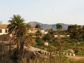 Schöne Villa in Ricabacica, Abanilla + Olivenhain in Partidor in  Dream Villas Alicante