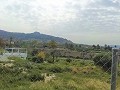 Schöne Villa in Ricabacica, Abanilla + Olivenhain in Partidor in  Dream Villas Alicante