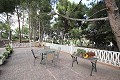 Tres casas en una parcela en Monovar in  Dream Villas Alicante