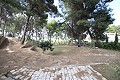 Tres casas en una parcela en Monovar in  Dream Villas Alicante