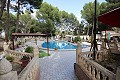Tres casas en una parcela en Monovar in  Dream Villas Alicante