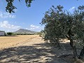 House to Reform in Caudete in  Dream Villas Alicante