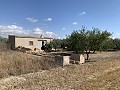 House to Reform in Caudete in  Dream Villas Alicante