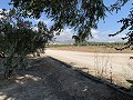 House to Reform in Caudete in  Dream Villas Alicante