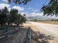 House to Reform in Caudete in  Dream Villas Alicante