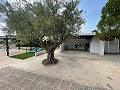 Villa mit 4 Schlafzimmern und 2 Bädern in  Dream Villas Alicante