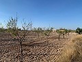 Bouwgrond in Macisvenda in  Dream Villas Alicante