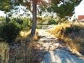 12-Bett-Haus in Mahoya, Murcia in  Dream Villas Alicante