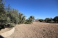 Grande Villa Individuelle à Aspe in  Dream Villas Alicante