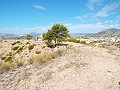 Atemberaubende Aussicht von diesem Grundstück in Macisvenda in  Dream Villas Alicante