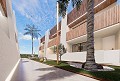 Geweldige nieuwbouw strandwoning in  Dream Villas Alicante