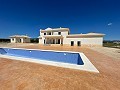 Dream New Build with Pool in Pinoso in  Dream Villas Alicante