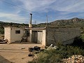 3-Bett-Landhaus & Lagerdepot 10 Minuten zu Fuß von der Stadt Barinas entfernt in  Dream Villas Alicante