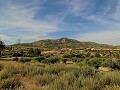 3-Bett-Landhaus & Lagerdepot 10 Minuten zu Fuß von der Stadt Barinas entfernt in  Dream Villas Alicante