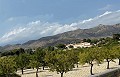 Grande opportunité d’affaires avec ce B & B de 6 lits à Alicante in  Dream Villas Alicante