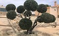 Grande opportunité d’affaires avec ce B & B de 6 lits à Alicante in  Dream Villas Alicante