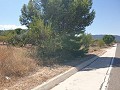 Parcela Urbanizable en Biar in  Dream Villas Alicante