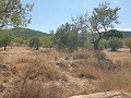 Parcela Urbanizable en Biar in  Dream Villas Alicante