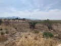 Schöne renovierte Finca mit Pool in  Dream Villas Alicante