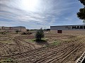Landhuis in Novelda - Wederverkoop in  Dream Villas Alicante
