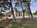 Landhuis in Novelda - Wederverkoop in  Dream Villas Alicante