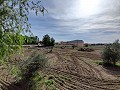 Landhuis in Novelda - Wederverkoop in  Dream Villas Alicante
