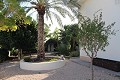 Wunderschöne Villa in El Reloj (Fortuna) in  Dream Villas Alicante