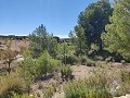 Detached country house between Monovar and Pinoso in  Dream Villas Alicante