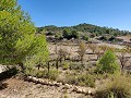 Detached country house between Monovar and Pinoso in  Dream Villas Alicante