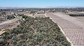 Land in Elche - Wiederverkauf in  Dream Villas Alicante