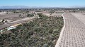Land in Elche - Wiederverkauf in  Dream Villas Alicante