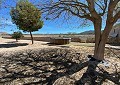 Mooie 140 jaar oude boerderij in Salinas in  Dream Villas Alicante