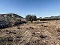Ruime villa met prachtig uitzicht en op loopafstand van La Romana in  Dream Villas Alicante