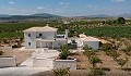 Villas de ensueño de nueva construcción en la hermosa campiña de Alicante in  Dream Villas Alicante