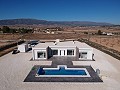 Neubau Villa Mordern in Pinoso mit Pool und Grundstück inklusive in  Dream Villas Alicante