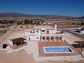 Prachtige nieuwe villa te koop in Pinoso in  Dream Villas Alicante