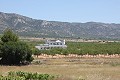 Prachtige nieuwe villa te koop in Pinoso in  Dream Villas Alicante