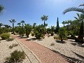 Superbe villa à Hondon de las nieves in  Dream Villas Alicante