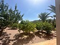 Superbe villa à Hondon de las nieves in  Dream Villas Alicante