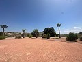 Superbe villa à Hondon de las nieves in  Dream Villas Alicante