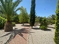 Superbe villa à Hondon de las nieves in  Dream Villas Alicante