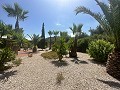 Superbe villa à Hondon de las nieves in  Dream Villas Alicante