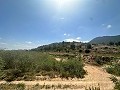 Superbe villa à Hondon de las nieves in  Dream Villas Alicante