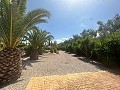 Superbe villa à Hondon de las nieves in  Dream Villas Alicante