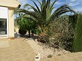 Immaculée Villa de 4/5 chambres avec piscine privée à La Romana in  Dream Villas Alicante